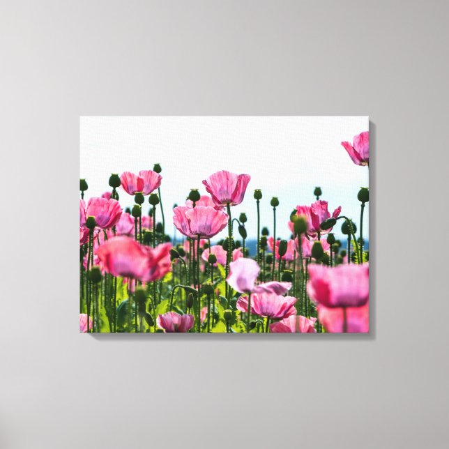 Rosa Poppies Canvastryck (Framsida)