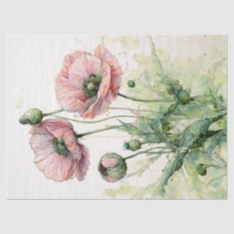 Rosa poppies, delikat Blommigt vattenfärg