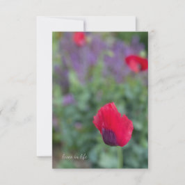 Rosa Poppies, Lila Garden Anteckningskort