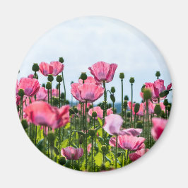 Rosa Poppies Magnet