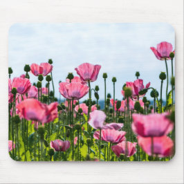 Rosa Poppies Musmatta