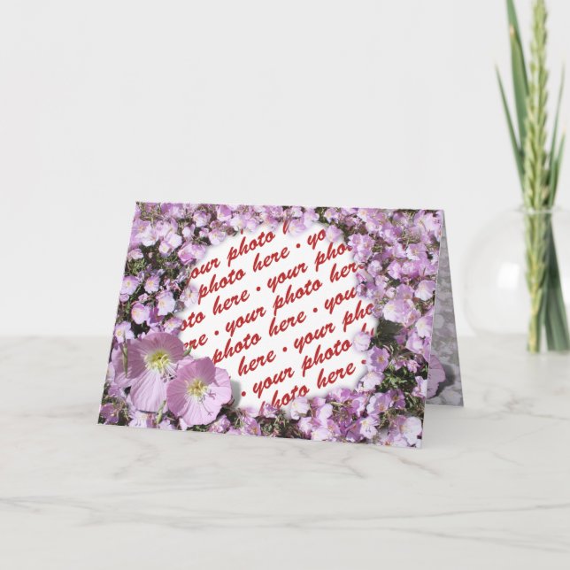 Rosa Poppies Photo Ram Kort (Framsida)