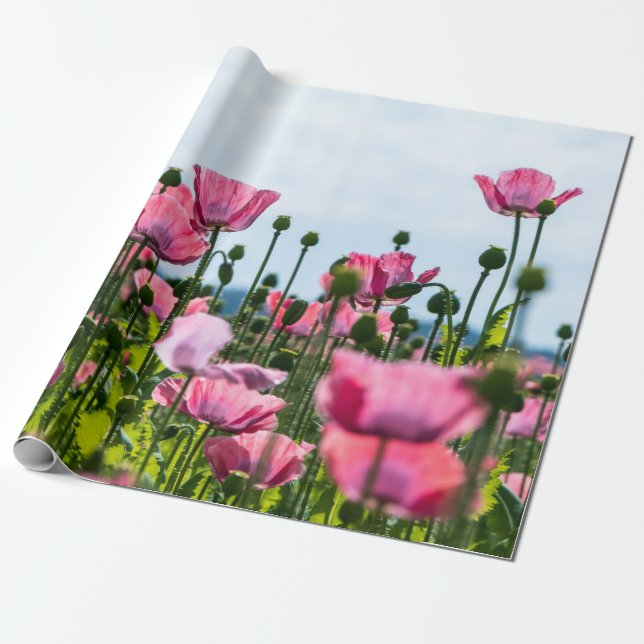 Rosa Poppies Presentpapper (Utrullad)