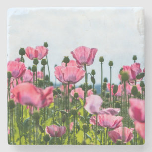 Rosa Poppies Stenunderlägg