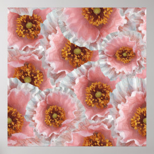 rosa poppor poster