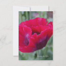 Rosa Poppy Anteckningskort