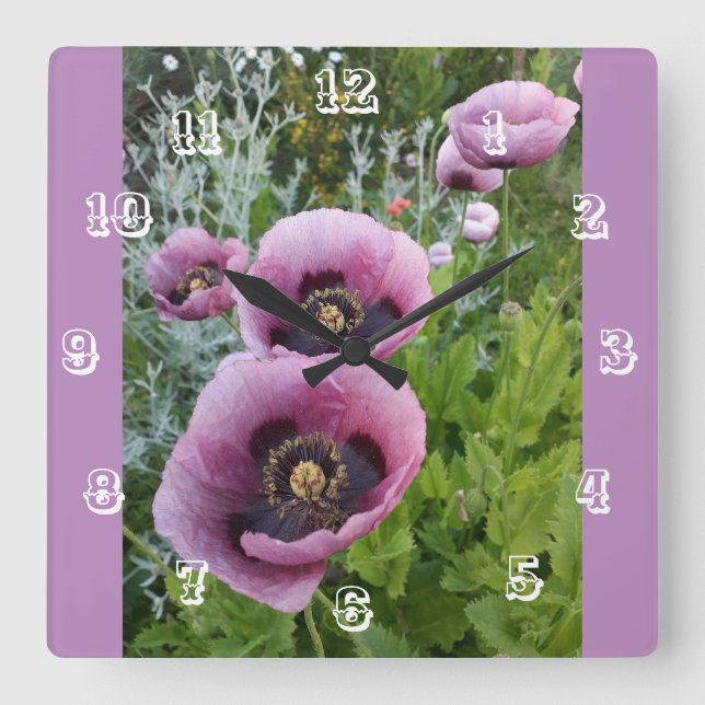 Rosa Poppy Blommigt Flower Barn Room Clock Fyrkantig Klocka (Framsida)