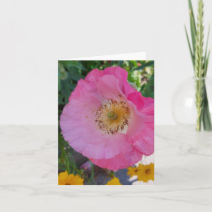 Rosa Poppy Flower på sommaren Kort