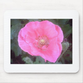 Rosa Poppy Musmatta