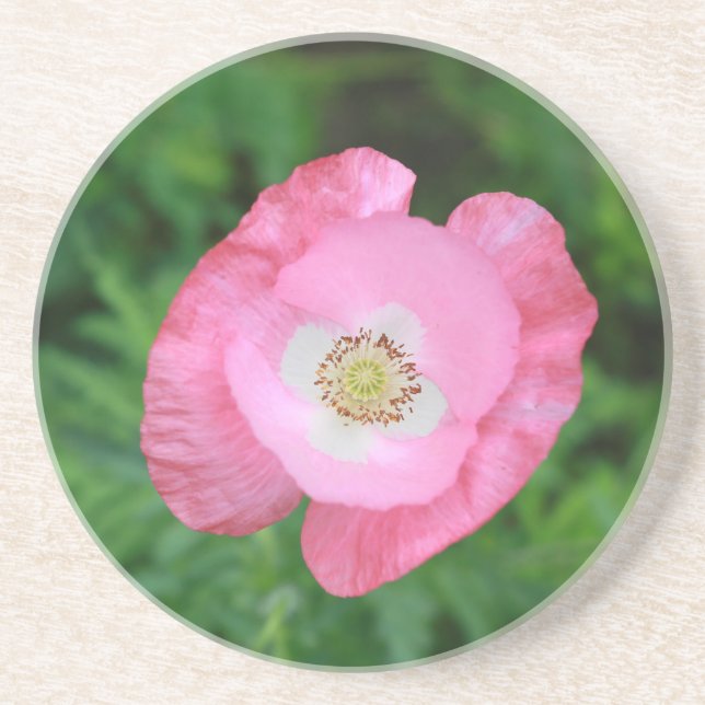 Rosa Poppy Underlägg Sandsten (Framsidan)