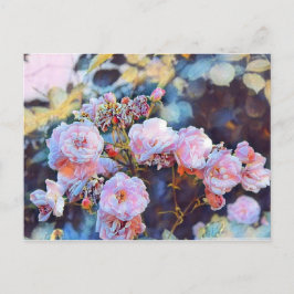 ROSA POSTCARD VYKORT