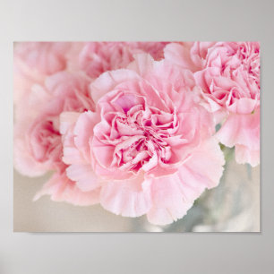Rosa Poster