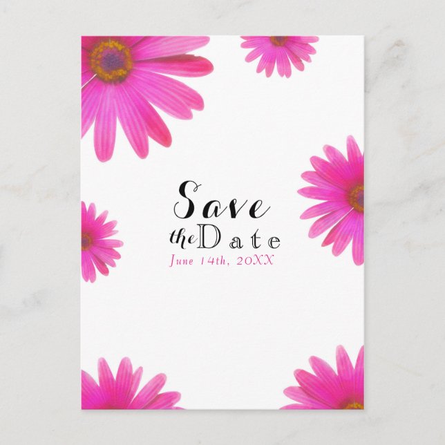 Rosa prästkragar Blommig Prästkraga Elegant Spara  Meddelande Vykort (Framsida)