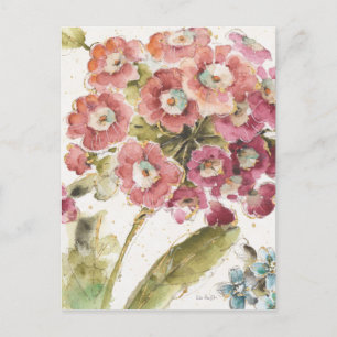 Rosa Primrose Vykort