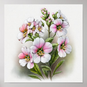 Rosa Primula Blommor Konsttryck Poster