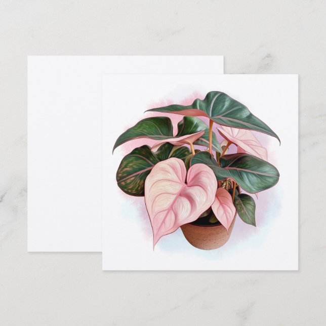 Rosa Princess Philodendron Illustration (Fram/baksida)