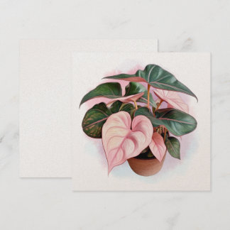 Rosa Princess Philodendron Illustration