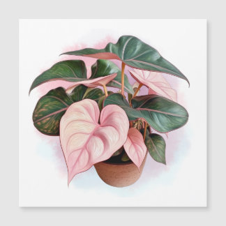 Rosa Princess Philodendron Illustration