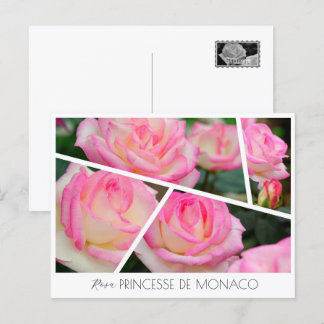 Rosa Princesse de Monaco Vykort