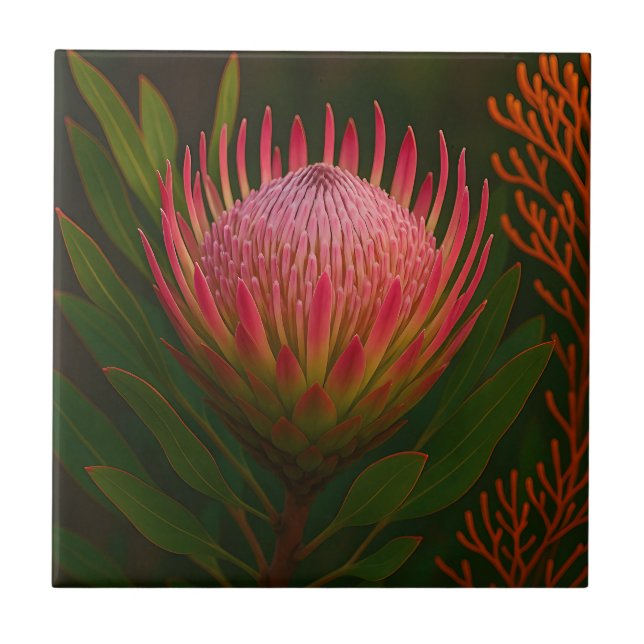 Rosa Protea Blomma Exotisk Blomning Kakelplatta (Framsidan)