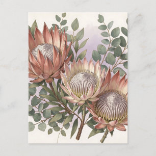 Rosa Protea Eukalyptus Botanisk Komposition  Vykort