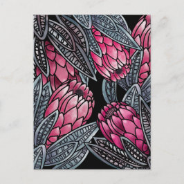 Rosa Protea exotisk blomma Vykort