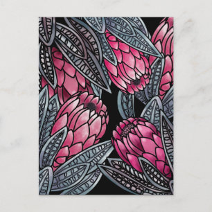 Rosa Protea exotisk blomma Vykort