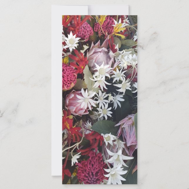 Rosa Protea Flower All Purpose Card (Framsida)