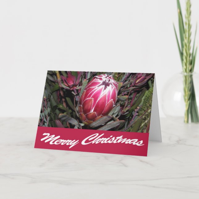 Rosa Protea Flower God jul Card Helgkort (Framsida)