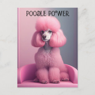 Rosa pudel - pudel Power Postcard Vykort