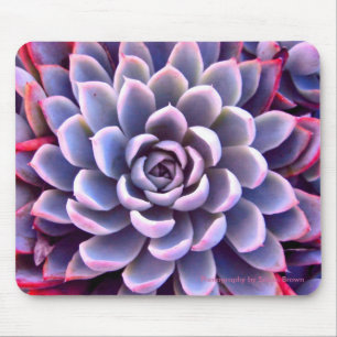 Rosa & purpurfärgade suckulenta Mousepad Musmatta