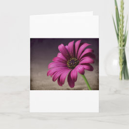 Rosa purpurfärgade Vines blommar konst för Kort