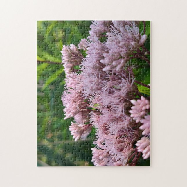 Rosa Pye Weed lins Pussel (Vertikal)