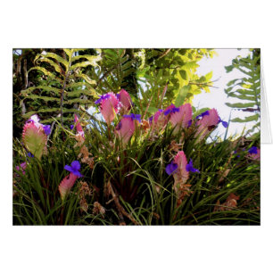 Rosa Quill Bromeliad Hälsningskort