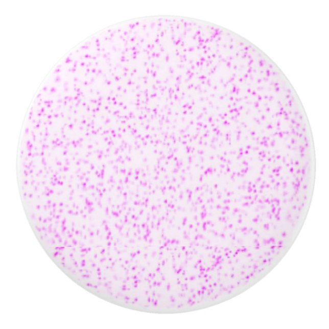 Rosa Rain Ceramic pull Knopp (Framsidan)