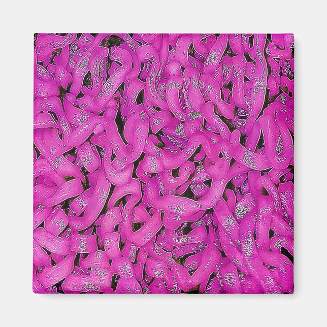 Rosa Ramen Magnet (Framsidan)