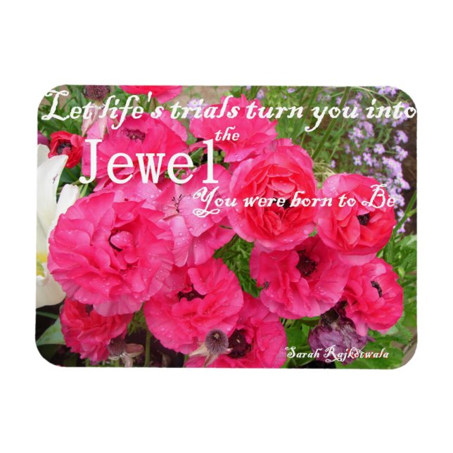 Rosa Rannunculus Blommigt Life Quote Birthday Magn Magnet (Horisontell)