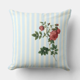 Rosa rapa, elfenben och blåremsor kudde