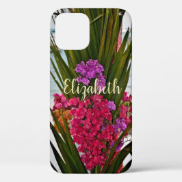 Rosa Red Bougainvillea Flowers Handflatan Tropical