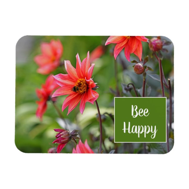 Rosa & Red Dahlia Bee Lycklig Flowers Motivational Magnet (Horisontell)