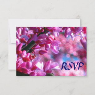 Rosa Redbud Blommars Bat mitzvah OSA Kort
