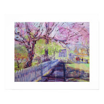 Rosa Redbud-blommor i Williamsburg Virginia