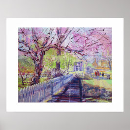 Rosa Redbud-blommor i Williamsburg Virginia Poster