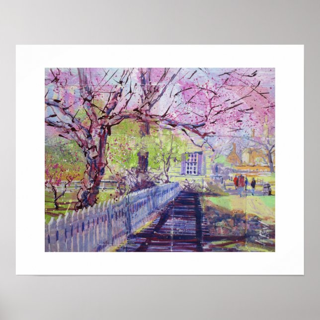 Rosa Redbud-blommor i Williamsburg Virginia Poster (Framsidan)