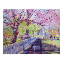 Rosa Redbud-blommor i Williamsburg Virginia