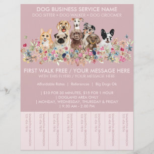  Rosa Reds Dog Walker Budget Biljett Reklamblad