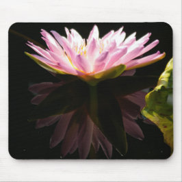 Rosa Reflection Lotus Waterlily Mouse Pad Musmatta