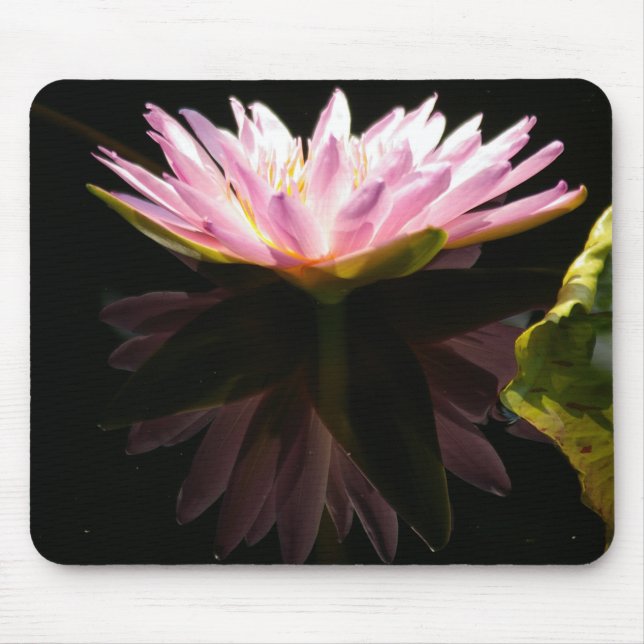 Rosa Reflection Lotus Waterlily Mouse Pad Musmatta (Framsidan)