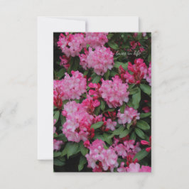 Rosa Rhododendron Anteckningskort