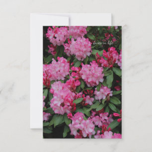 Rosa Rhododendron Anteckningskort